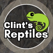 Clint's Reptiles YouTube channel thumbnail