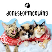 DontStopMeowing YouTube channel thumbnail