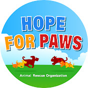 Hope For Paws YouTube channel thumbnail