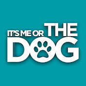 It's Me or the Dog YouTube channel thumbnail