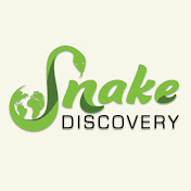 Snake Discovery YouTube channel thumbnail